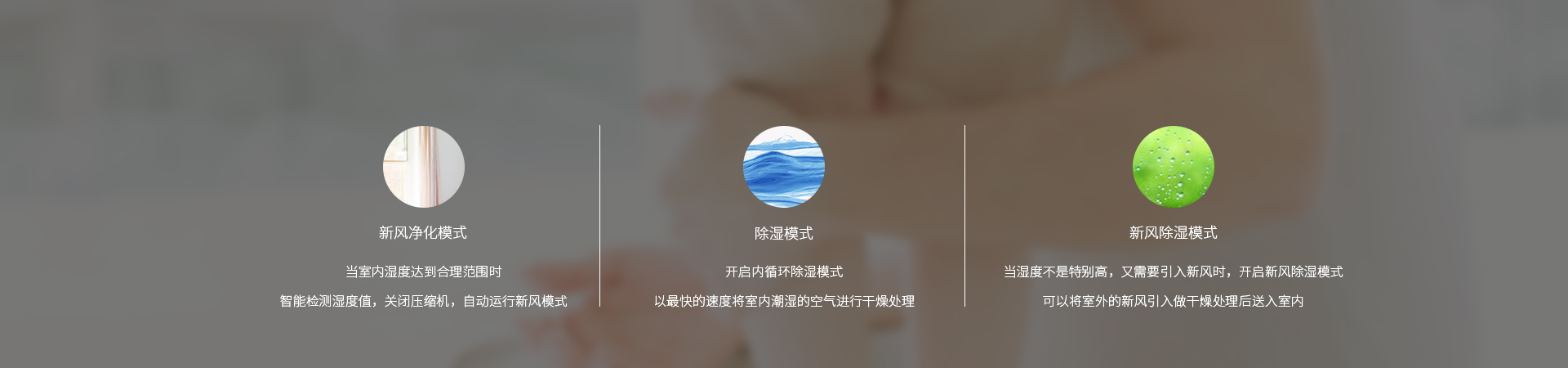 網站--舒爽系列_16.jpg