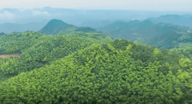 微信圖片_20200908135123.gif
